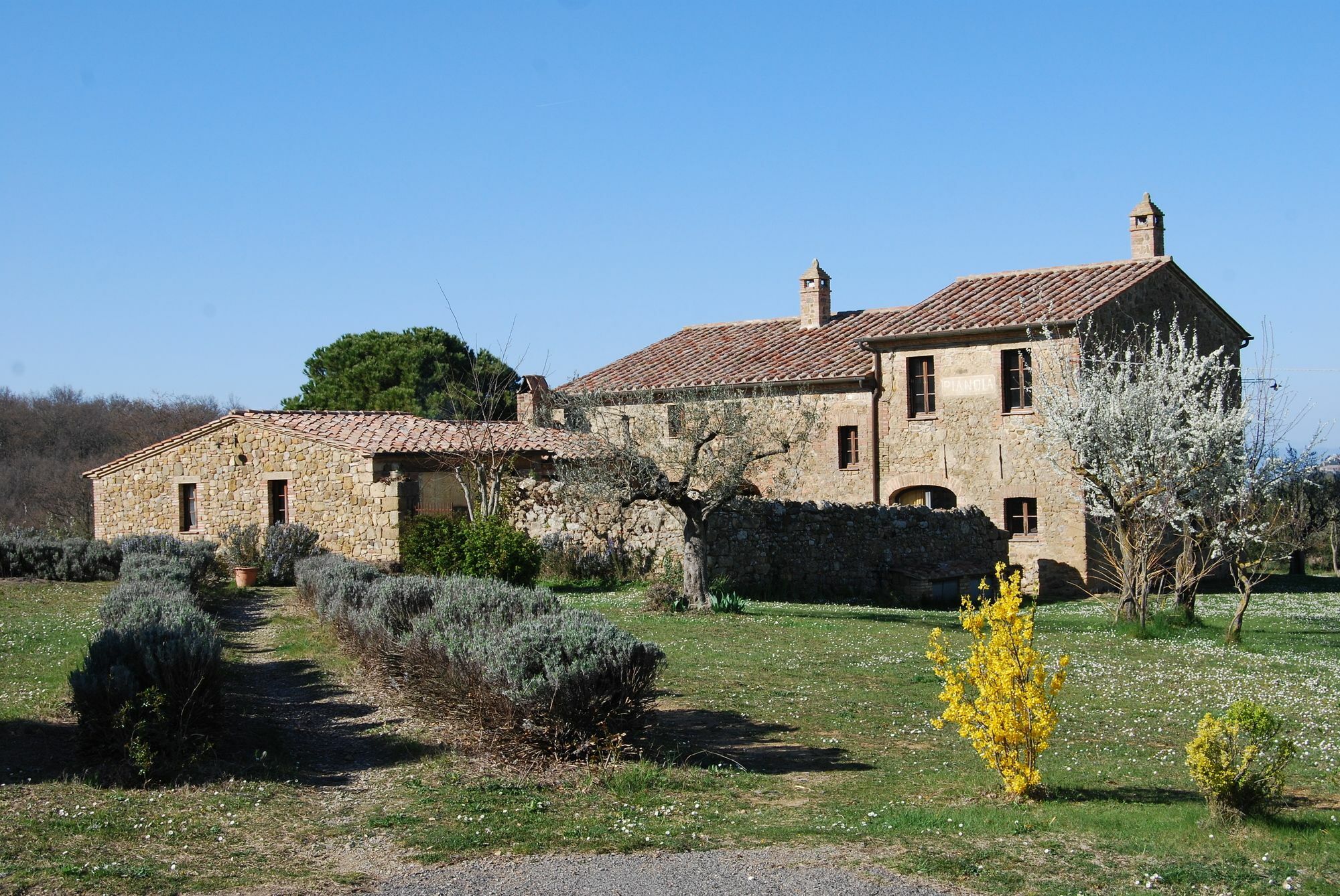 Agriturismo Pianoia Пиенца Экстерьер фото